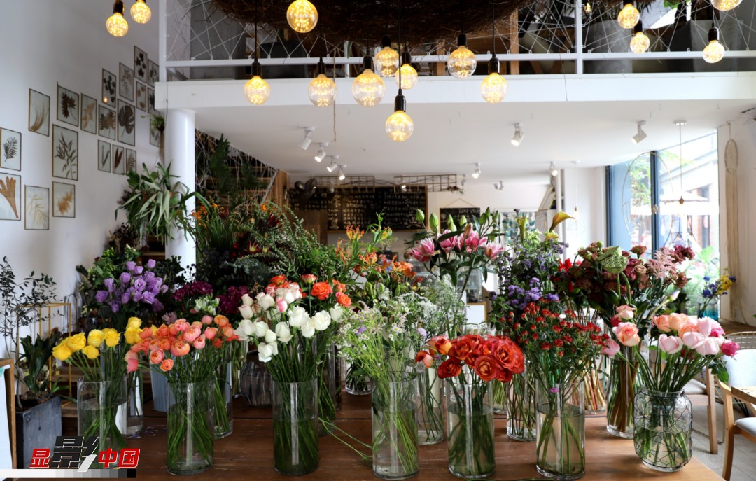 從決定從事鮮花這個(gè)行業(yè)以來(lái)，王黎媛花了很多的時(shí)間和精力去學(xué)習(xí)花藝，不斷提高自己的專業(yè)水平。而在小店的選址、裝修和布置方面，王黎媛同樣花費(fèi)了不少心思，“希望我的小店和鮮花一樣，是有溫度的、鮮活的?！绷硗?，小小的花店也藏著大大的夢(mèng)想，“我們?cè)颇硝r花很多，但真正做成品牌的卻很少，這是非常可惜的。我希望把我的店做成品牌，不光能扎根昆明，還能落地到云南的其他城市，甚至省外的城市。”圖為王黎媛的花店一角。新華網(wǎng) 周亞平/攝 念新洪/文